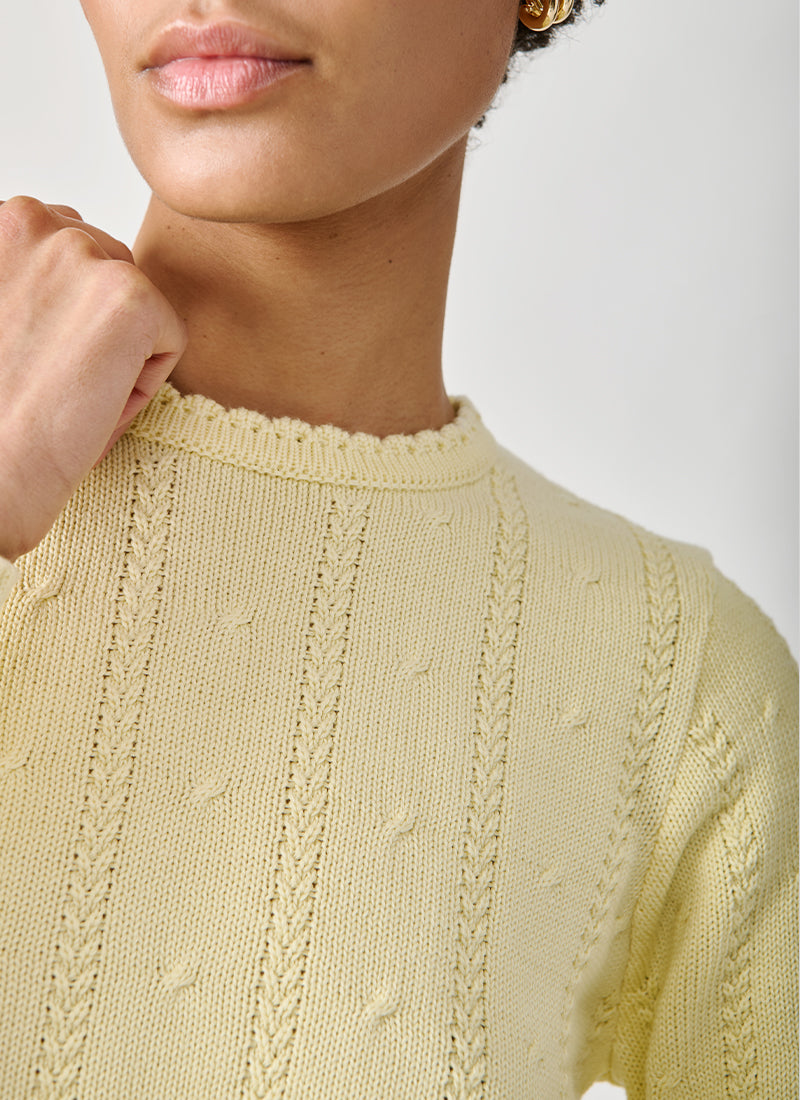 Autumn Cashmere Cropped Crew With Zig Zag Bottom Sweater